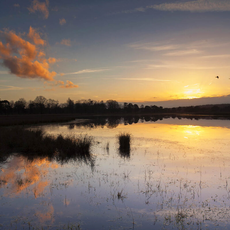 Landschapsfotografie workshop Midden Nederland