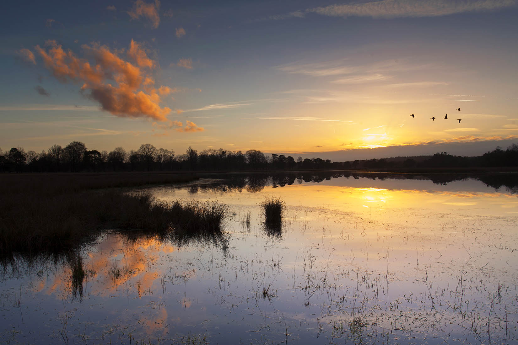 Landschapsfotografie workshop Midden Nederland