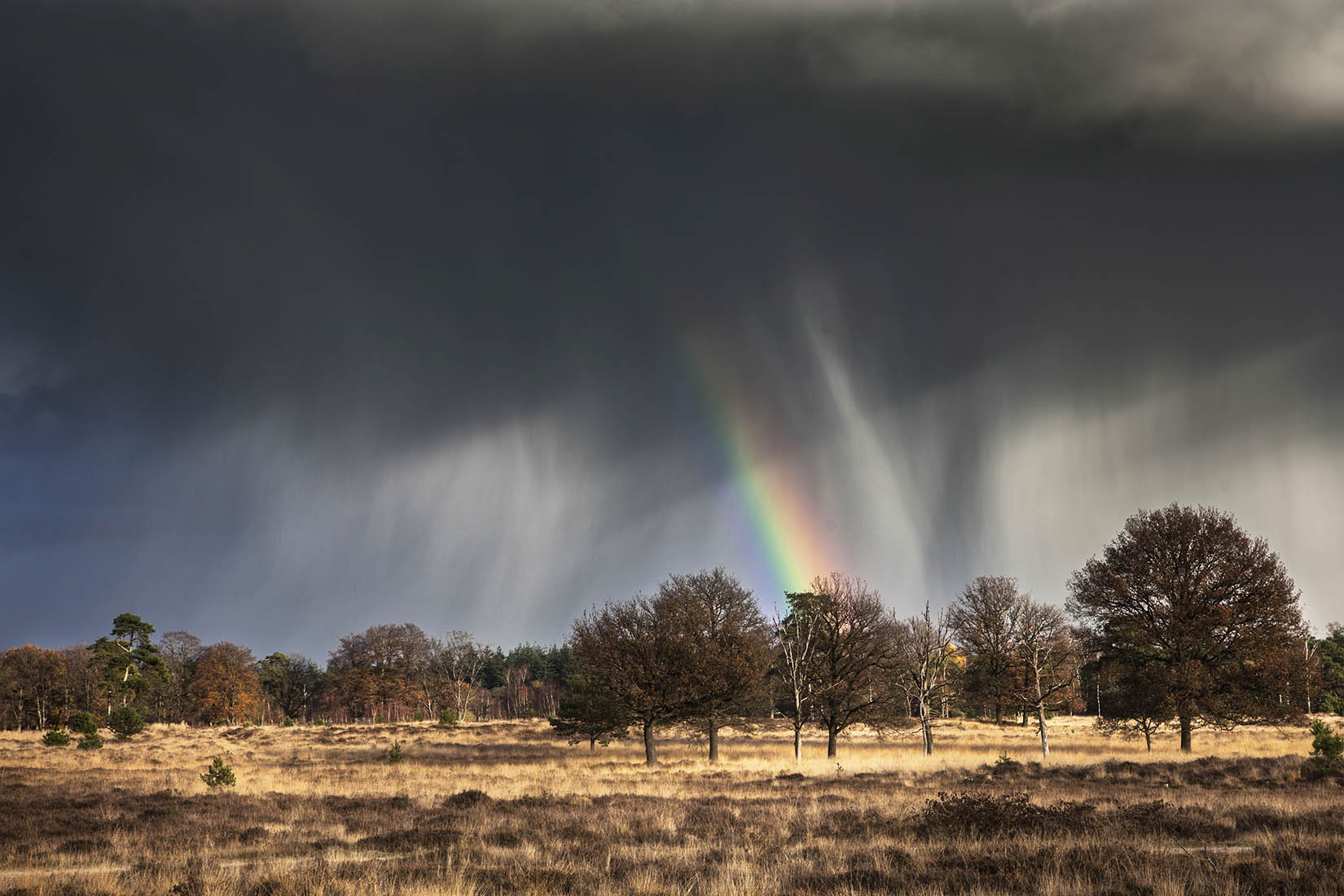 Workshop Landschapsfotografie op de het Leersumse veld, Utrechtse Heuvelrug.